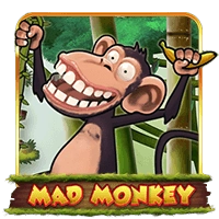 Mad Monkey H5