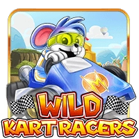 Wild Kart Racers