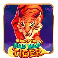 Year Of The Wild Wild Tiger